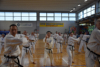 Classic Tae Kwon Do