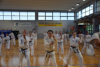 Classic Tae Kwon Do