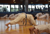 Classic Tae Kwon Do