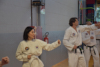 Classic Tae Kwon Do