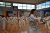 Classic Tae Kwon Do