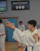 Classic Tae Kwon Do