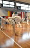 Classic Tae Kwon Do
