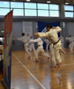 Classic Tae Kwon Do