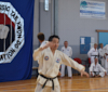 Classic Tae Kwon Do