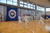 Classic Tae Kwon Do