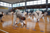 Classic Tae Kwon Do