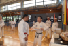 Classic Tae Kwon Do