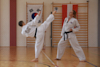 Classic Tae Kwon Do