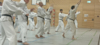 Classic Tae Kwon Do