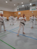 Classic Tae Kwon Do