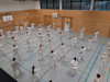 Classic Tae Kwon Do
