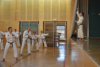 Classic Tae Kwon Do