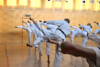 Classic Tae Kwon Do