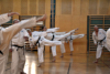 Classic Tae Kwon Do