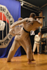 Classic Tae Kwon Do