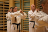 Classic Tae Kwon Do