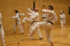 Classic Tae Kwon Do