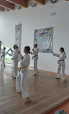 Classic Tae Kwon Do