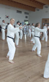 Classic Tae Kwon Do