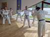 Classic Tae Kwon Do