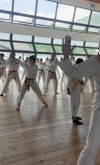 Classic Tae Kwon Do
