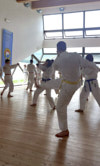 Classic Tae Kwon Do