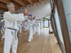 Classic Tae Kwon Do