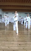 Classic Tae Kwon Do