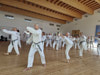 Classic Tae Kwon Do