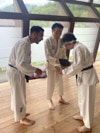 Classic Tae Kwon Do