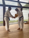 Classic Tae Kwon Do