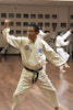 Classic Tae Kwon Do