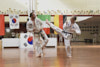 Classic Tae Kwon Do