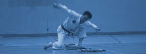 Son Jong-Ho Classic Tae Kwon Do Klagenfurt am Wörthersee