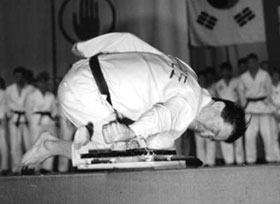 Taekwon Do: Son Jong-Ho Bruchtest