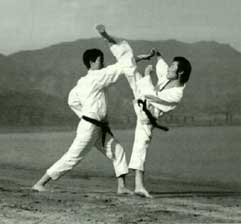 Taekwon Do